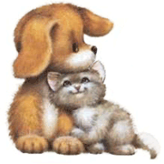 Puppy and Kitten