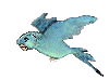 Quacker